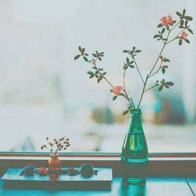 足球滚球的正规平台app手机app下载